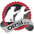 Orsi