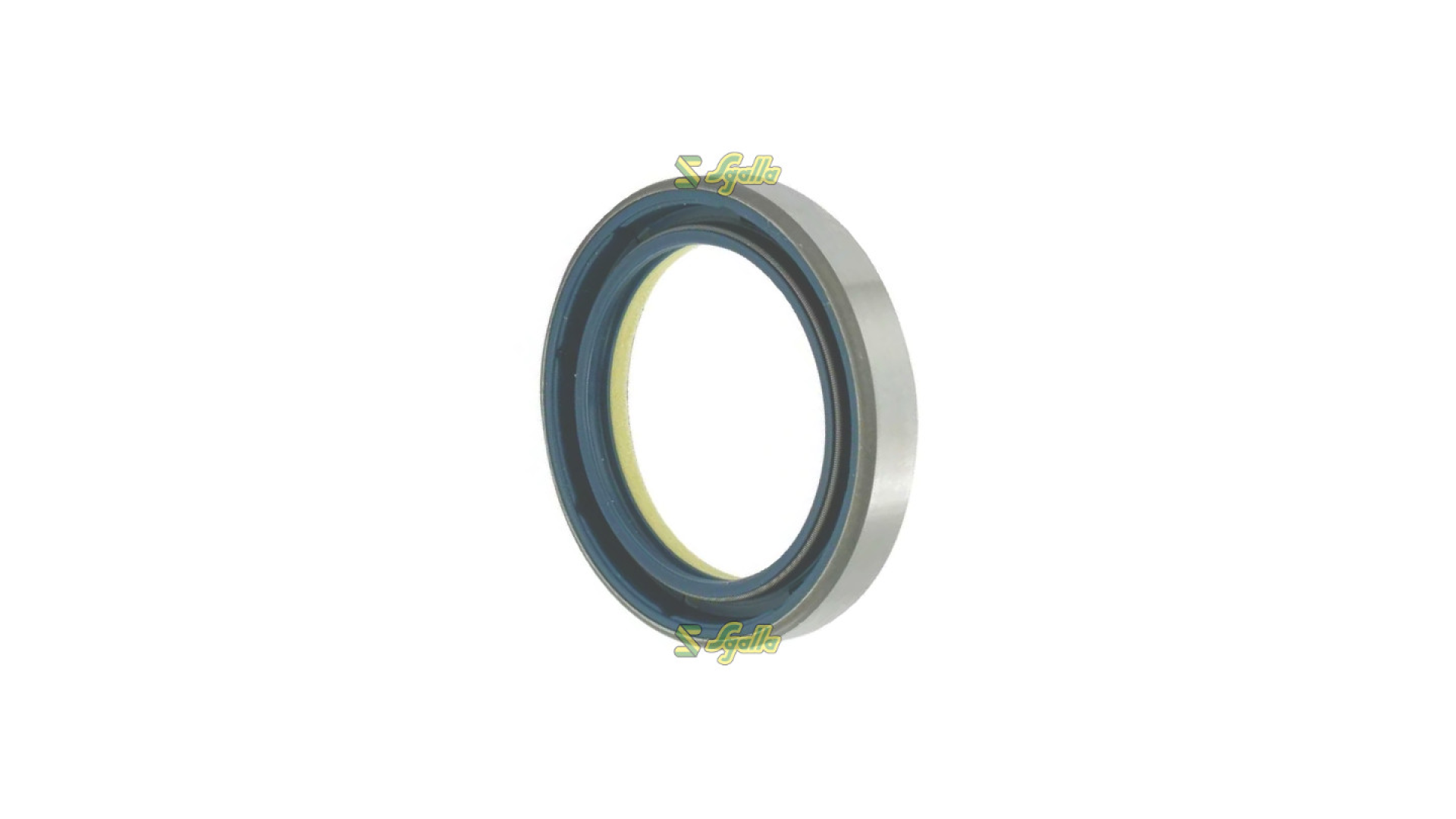 Anello di tenuta Maschio Gaspardo ref. F03010816R