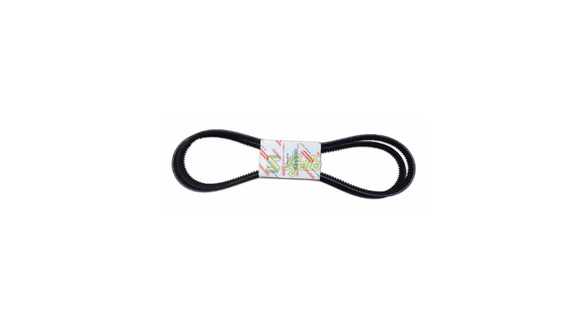 Cinghia Maschio Gaspardo ref. F06010038R