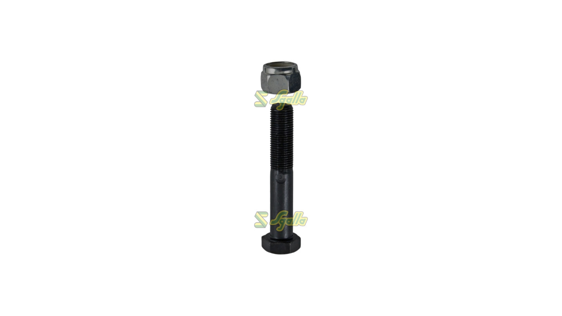 Vite Maschio Gaspardo ref. EGL00003R