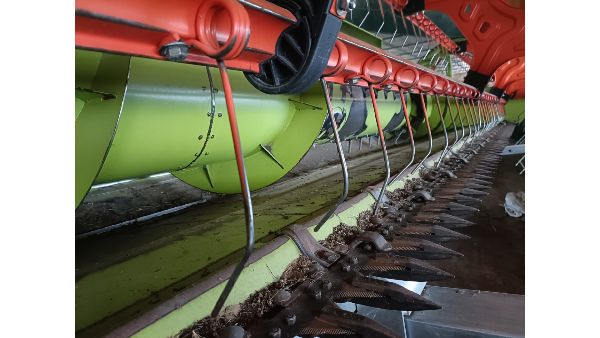 Mietitrebbia Claas TUCANO 430 MONTANA 4 Usata