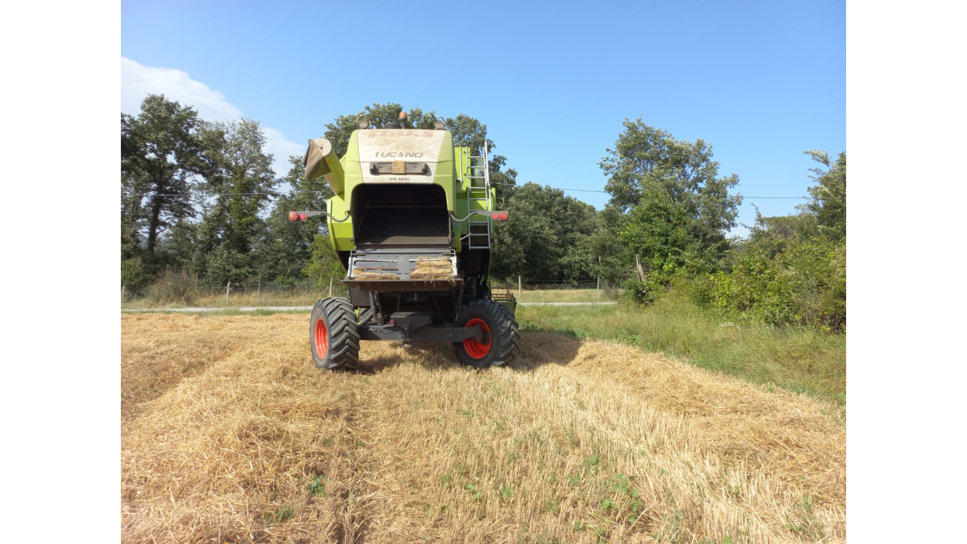 Mietitrebbia Claas Tucano 430 APS Usata