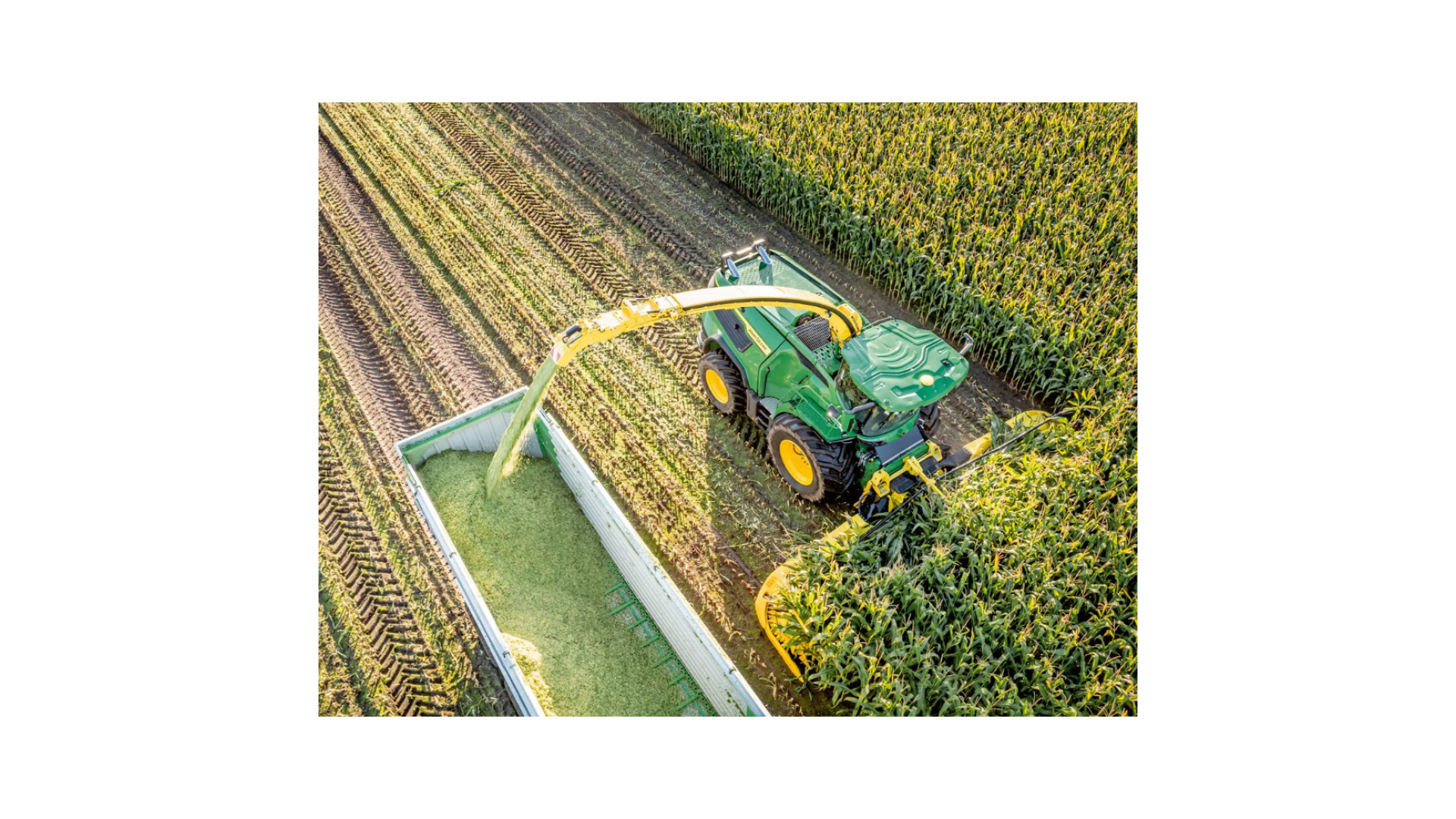 Trincia John Deere F8 600