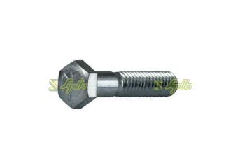 Vite Maschio Gaspardo ref. F01020164R