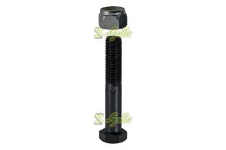 Vite Maschio Gaspardo ref. EGL00003R
