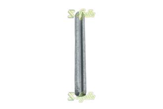 Spina elastica flznnc Kuhn ref. 80450752