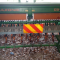 Seminatrice combinata Amazone D9 30 Usata