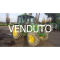 Trattore John Deere 6200 usato