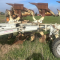 Aratro Ermo FSV3 25 EVO usato
