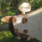 Aratro Ermo FSV3 106 usato