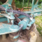Aratro Nardi SX 14TO/120/2L Usato
