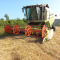 Mietitrebbia Claas Tucano 430 APS Usata