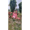 Aratro Angeloni APS59H usato