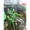 Trattore John Deere 5090R usato