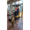 Miniescavatore Cat 301.5