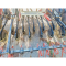 Seminatrice ABA Group PNEUMATIC SP 400 usata